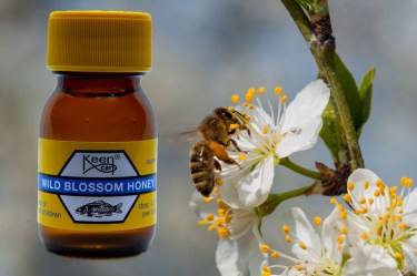 Wild Blossom Honey